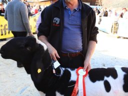 2019_ausstellung polling_653